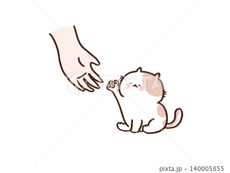 人間の手に自分の前足を重ねようとする小さな猫（「猫の手も借りたい」のことわざ） 140005855