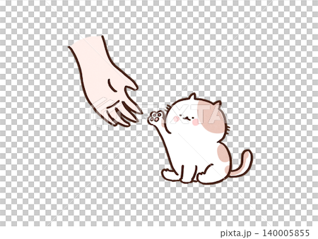 人間の手に自分の前足を重ねようとする小さな猫（「猫の手も借りたい」のことわざ） 140005855