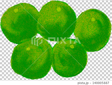 Sudachi illustration Sudachi illustration 140005887