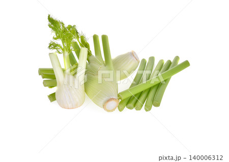 Fresh, organic fennel on a white background. Fresh, organic fennel on a white background. 140006312