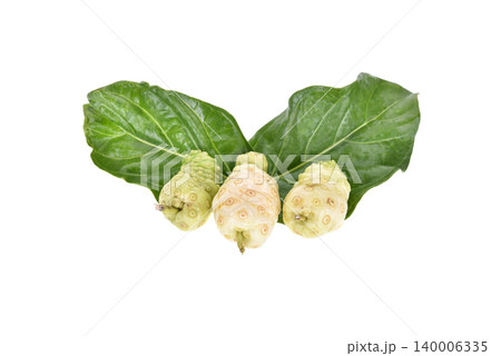 Noni or Morinda Citrifolia fruits with green leaf isolated on white background Noni or Morinda Citrifolia fruits with green leaf isolated on white background 140006335