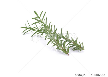 rosemary isolated on white background 140006383