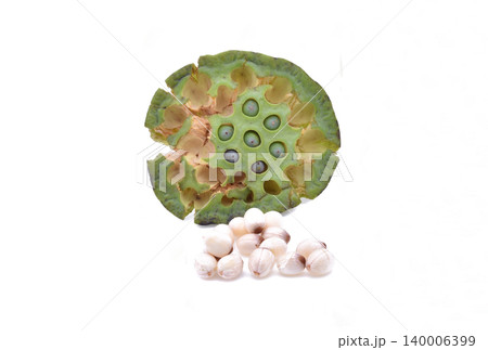 Lotus seeds green Isolated on white Lotus seeds green Isolated on white 140006399
