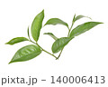 Green tea leaf isolated on white background 140006413