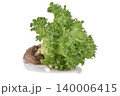 Fresh Frillice Iceberg Lettuce isolated on white background 140006415