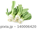 Bok choy (chinese cabbage) isolated on white background 140006420