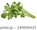 celery isolated on white background. 140006425