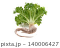 Fresh Frillice Iceberg Lettuce isolated on white background 140006427