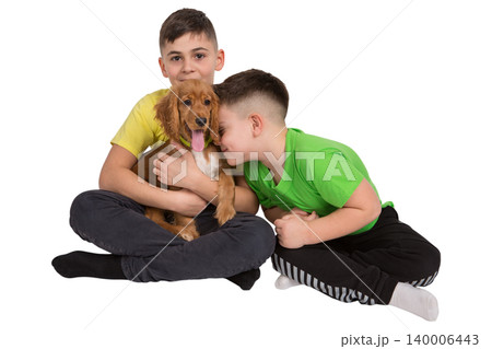 Two young boys hugging a cute cocker spaniel puppy in studio Two young boys hugging a cute cocker spaniel puppy in studio 140006443