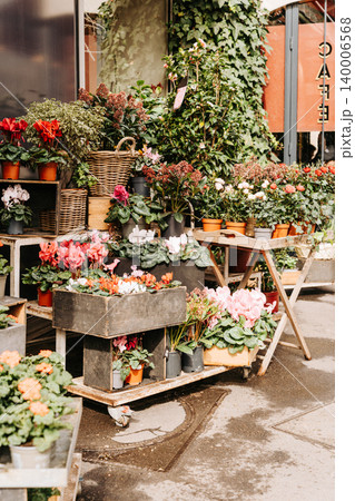 Street flower shop filled with colorful plants and blooming pots 140006568