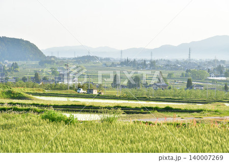 朝の田園 朝の田園 140007269