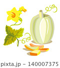 A colour vector set featuring a pumpkin, its flowers and leaves on a white background 140007375