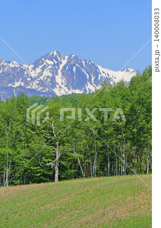 中山高原から望む5月の北アルプス 中山高原から望む5月の北アルプス 140008033