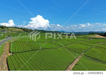 福岡県八女市の茶畑を斜め俯瞰した空撮写真 140009601