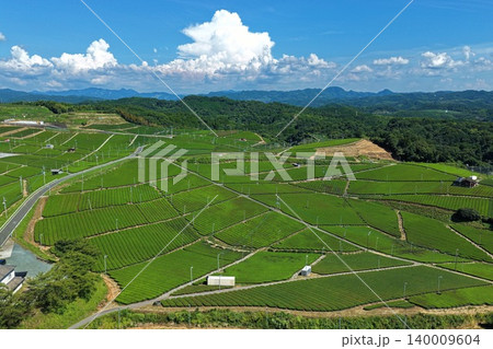 福岡県八女市の茶畑を俯瞰した空撮写真 福岡県八女市の茶畑を俯瞰した空撮写真 140009604
