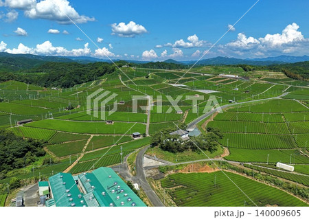 福岡県八女市の茶畑を俯瞰した空撮写真 140009605