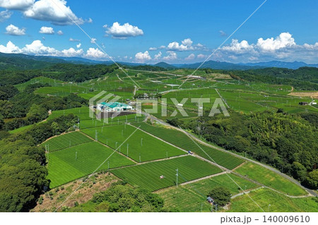 福岡県八女市の茶畑を俯瞰した空撮写真 140009610