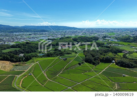 福岡県八女市の茶畑を斜め俯瞰した空撮写真 140009619