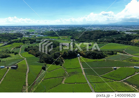 福岡県八女市の茶畑を俯瞰した空撮写真 140009620