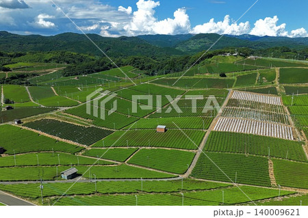 福岡県八女市の茶畑を斜め俯瞰した空撮写真 福岡県八女市の茶畑を斜め俯瞰した空撮写真 140009621