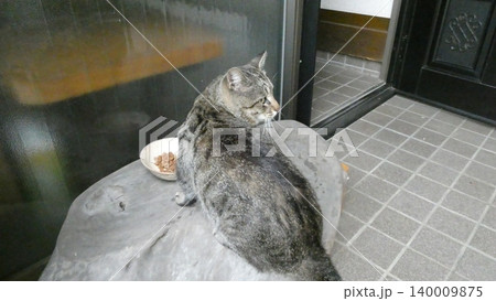 ねこ 140009875
