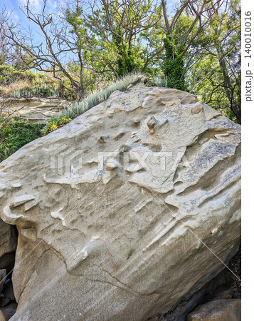 A large, weathered sandstone boulder with intricate natural texture, nestled at the edge of a forest with sun-drenched trees in the background, showcasing a serene outdoor landscape. A large, weathered sandstone boulder with intricate natural texture, nestled at the edge of a forest with sun-drenched trees in the background, showcasing a serene outdoor landscape. 140010016