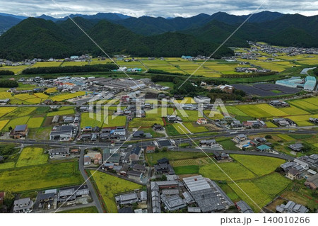 兵庫県多可郡の実りの稲田と山間集落を俯瞰した空撮写真 140010266