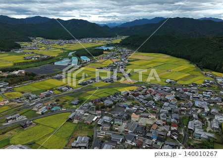 兵庫県多可郡の黄金色の田んぼと農村集落を俯瞰した空撮写真 兵庫県多可郡の黄金色の田んぼと農村集落を俯瞰した空撮写真 140010267