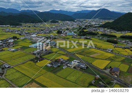 兵庫県多可郡の黄金色の水田と農村集落を俯瞰した空撮写真 140010270