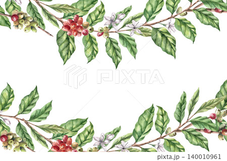 A rectangular frame featuring coffee branches and ripening berries. An isolated watercolor illustration for restaurant interior design, greeting cards, packaging, and menus. A rectangular frame featuring coffee branches and ripening berries. An isolated watercolor illustration for restaurant interior design, greeting cards, packaging, and menus. 140010961