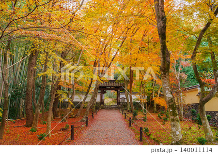 京都 紅葉に包まれた地蔵院(竹寺) 総門 京都 紅葉に包まれた地蔵院(竹寺) 総門 140011114