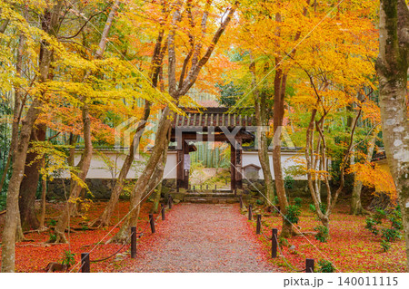 京都 紅葉に包まれた地蔵院(竹寺) 総門 京都 紅葉に包まれた地蔵院(竹寺) 総門 140011115