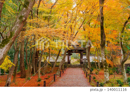 京都　紅葉に包まれた地蔵院（竹寺）　総門 140011116