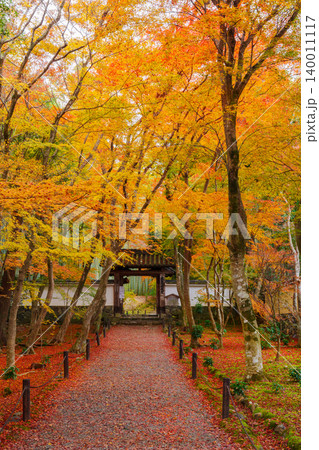 京都 紅葉に包まれた地蔵院(竹寺) 総門 京都 紅葉に包まれた地蔵院(竹寺) 総門 140011117