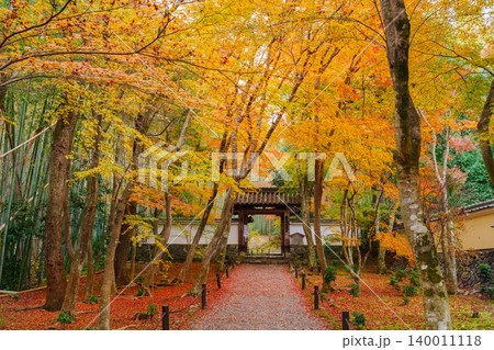 京都 紅葉に包まれた地蔵院(竹寺) 総門 京都 紅葉に包まれた地蔵院(竹寺) 総門 140011118
