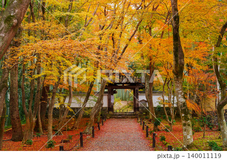 京都 紅葉に包まれた地蔵院(竹寺) 総門 京都 紅葉に包まれた地蔵院(竹寺) 総門 140011119
