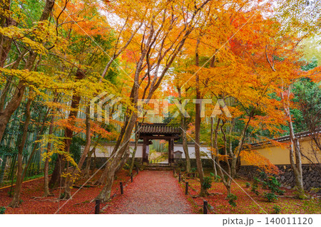 京都　紅葉に包まれた地蔵院（竹寺）　総門 140011120