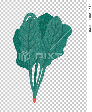 ほうれん草のイラスト 140011317
