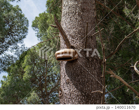 A brown plastic bat box sits high on a tall pine tree in a sunny forest. The sun shines through the trees, creating a bright environment for the wildlife nearby. A brown plastic bat box sits high on a tall pine tree in a sunny forest. The sun shines through the trees, creating a bright environment for the wildlife nearby. 140011670