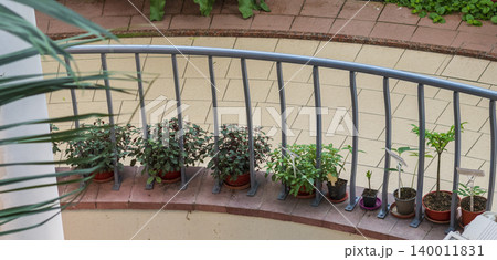 An indoor or courtyard view overlooking a curved balcony planter display lined with potted plants. An indoor or courtyard view overlooking a curved balcony planter display lined with potted plants. 140011831