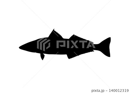 サケシルエット 鮭の魚イラスト素材 サケシルエット 鮭の魚イラスト素材 140012319