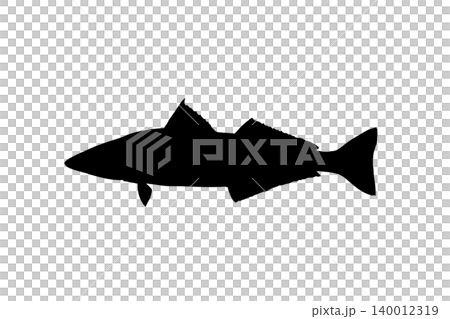 サケシルエット 鮭の魚イラスト素材 サケシルエット 鮭の魚イラスト素材 140012319