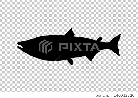 鮭魚輪廓 - 鮭魚插圖素材 鮭魚輪廓 - 鮭魚插圖素材 140012320