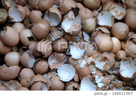 Crushed and Broken Eggshells Texture Crushed and Broken Eggshells Texture 140012367