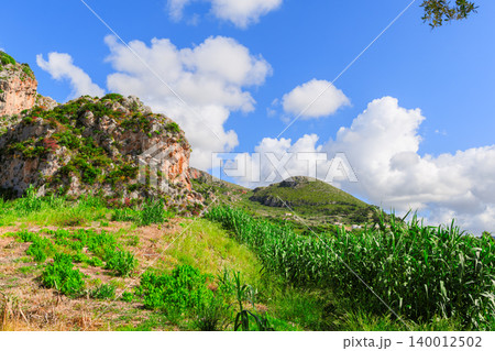 Vivid green fields and rocky mountains under a bright blue summer sky Vivid green fields and rocky mountains under a bright blue summer sky 140012502