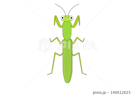 緑色のカマキリのイラスト 緑色のカマキリのイラスト 140012625