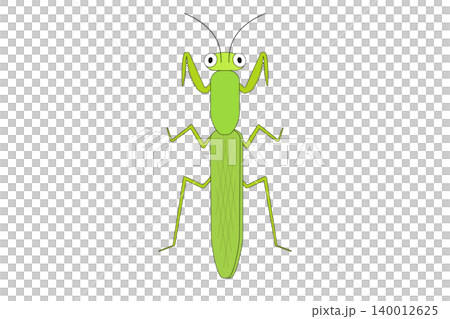 緑色のカマキリのイラスト 緑色のカマキリのイラスト 140012625