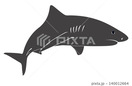 Tiger shark 140012664