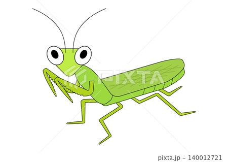 かわいらしい緑色のカマキリのイラスト 140012721