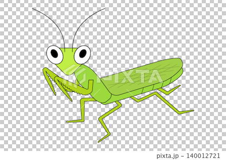かわいらしい緑色のカマキリのイラスト 140012721